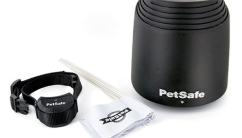 The Benefits Of An Invisible Dog Fence