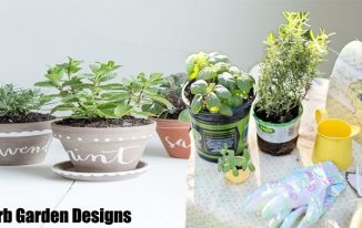 Remarkable Tips on Herb Garden Designs