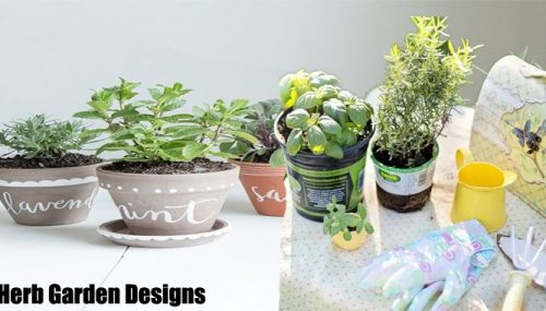 Remarkable Tips on Herb Garden Designs