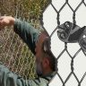 How to Trim the Wires on a Chain Link Fence