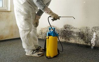 How to Get Help with Water Damage Restoration