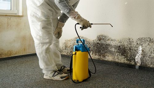 How to Get Help with Water Damage Restoration