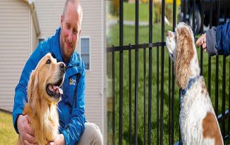 Affordable Invisible Pet Fence Solutions: Ensuring Safety for Your Furry Friends
