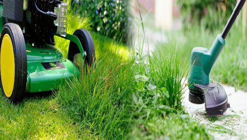 Best Practices for Seasonal Lawn Care and Maintenance