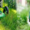 Best Practices for Seasonal Lawn Care and Maintenance