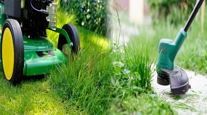 Best Practices for Seasonal Lawn Care and Maintenance