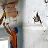 Affordable Home Repair Solutions for Water-Damaged Ceilings